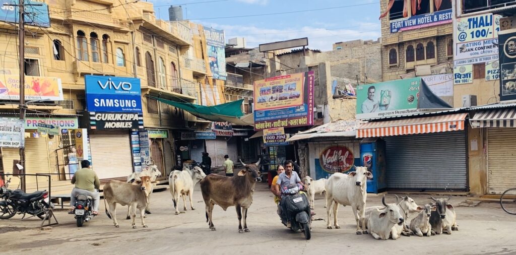 インドの教育に学ぶ【自由と迷惑と我慢の関係】 Yusana Blog